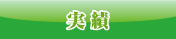 実績